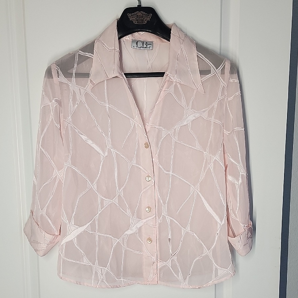 C.B. Collections Petite Chic Sheer Pink Button Down Shirt - Picture 3 of 7